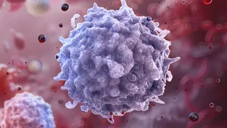 Как омолодить иммунитет: новая методика с использованием mRNA и печени