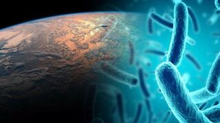 Эволюция в невесомости: как космические мутации микробов помогут победить супербактерии
