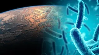 Эволюция в невесомости: как космические мутации микробов помогут победить супербактерии