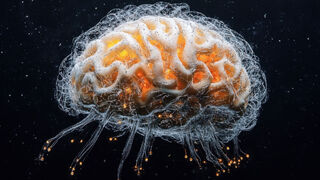 Физические упражнения делают мозг моложе: революционное открытие учёных