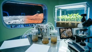 Зеленые оазисы в космической пустыне: реальность ли фермы на Марсе?