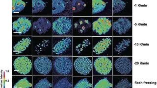 Ученые поняли, почему льдинки из океана Энцелада так сильно различаются по составу